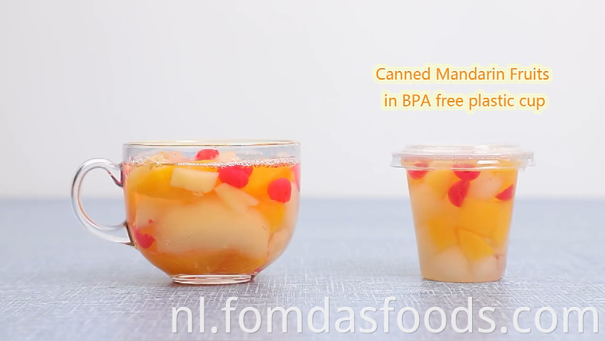 Canned Fruit Mix in Light Syrup